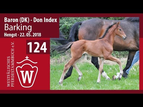124 Barking HF v. Baron - Don Index