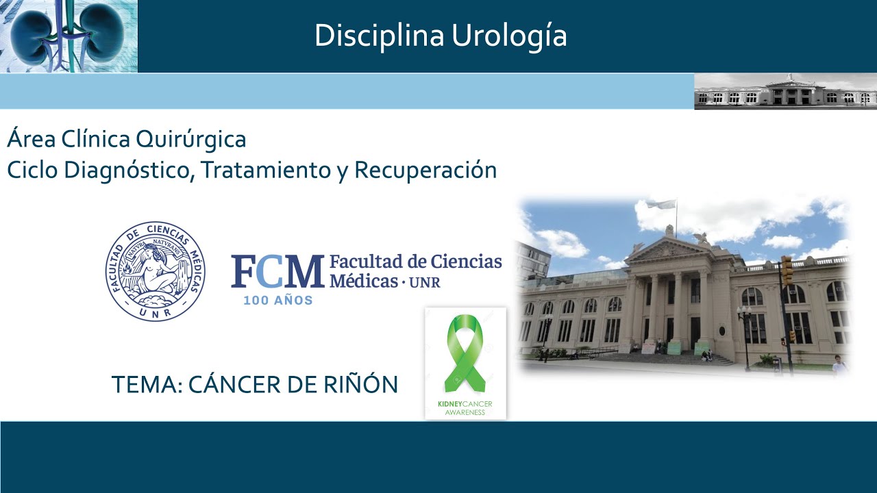 Cáncer de Riñón Prof. Dr. Fabián YABER