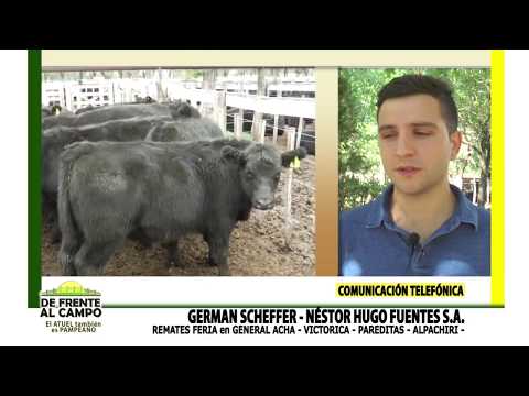 DE FRENTE AL CAMPO junto al SECTOR PRODUCTIVO PAMPEANO - GERMAN SCHEFFER-