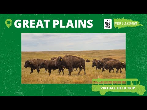 Virtual Field Trip to the Northern Great Plains