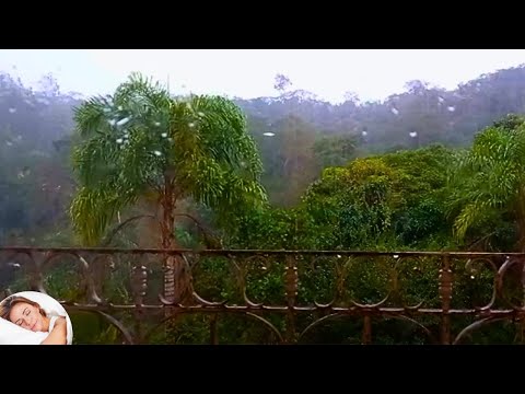 🌧️💤 CHUVA PARA LIBERAR O ESTRESSE: Uma Experiência Revigorante 💤🌧️