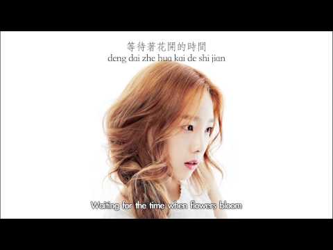 Taeyeon - Bye Chinese Ver. (Chinese & Hanyu Pinyin & Eng sub) [Mr. Go OST]
