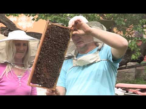 Boja meda ep. 104 03.03.2020. Izimljavanje pčela, pravoslavlje i med