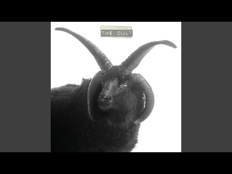 Black Sun - The Cult