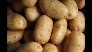 Das steckt im Kartoffeldamm