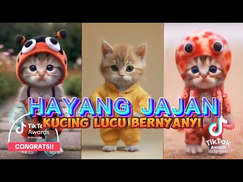 HAYANG JAJAN VERSI KUCING LUCU TERBARU