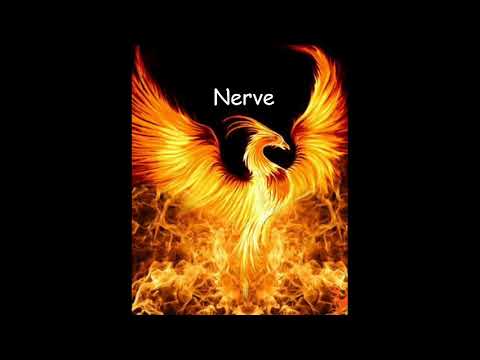 Lowcore Phoenix - Nerve