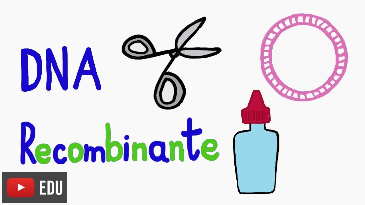 Cutting, pasting, and cloning! What is Genetic Engineering? #InstanteBiotec 66