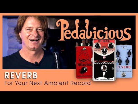 Reverb: Cusack Reverb, Mr. Black Bloodmoon, Durham Reddverb