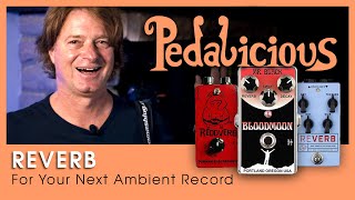 Video thumbnail for Reverb: Cusack Reverb, Mr. Black Bloodmoon, Durham Reddverb by Pedalicious