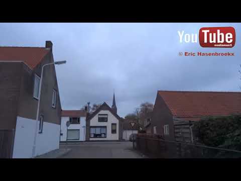 Vogelwaarde de winterslaap er is niemand