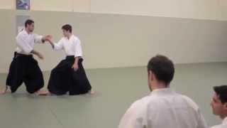 Aikido Academy | Vassilis Nykteris Yudansha Training Dec. 2014