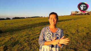 Gastronomía Australiana | Argentinos en el mundo.