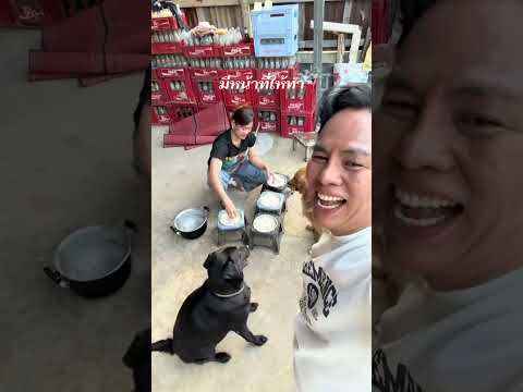 แฟนใหม่พ่อทองดำทองแดงมีหน้าที่สองอย่างที่ให้ทำ