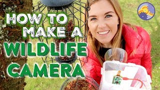 How to make a Wildlife Camera (using a Raspberry Pi!) | Maddie Moate
