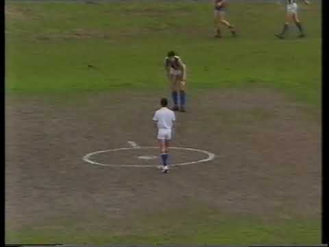 AFL Round 22, 1991 - Fitzroy vs North Melbourne - (Princes Park) - Second half