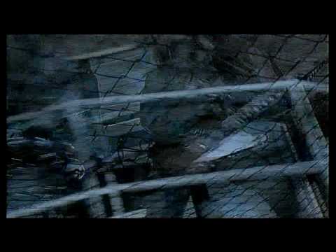 Wanastowi Vjecy - Jsem nevinej