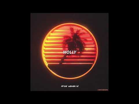 (FREE) Hamza x Playboi Carti x Rnb Type Beat | Jok'air Type Beat - "Molly" (prod. wavekid)