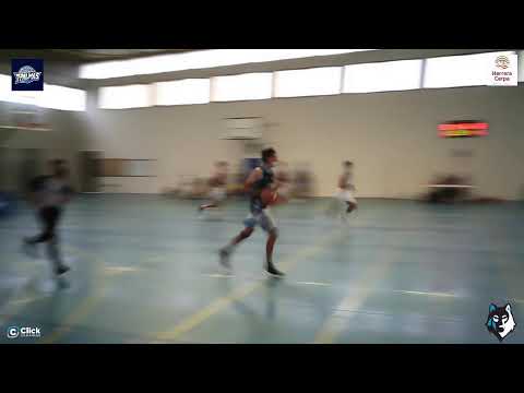 SENIOR MASCULINO : CB 7 Palmas (Senior)-  CB 7 Palmas (Sub 22 Gris)