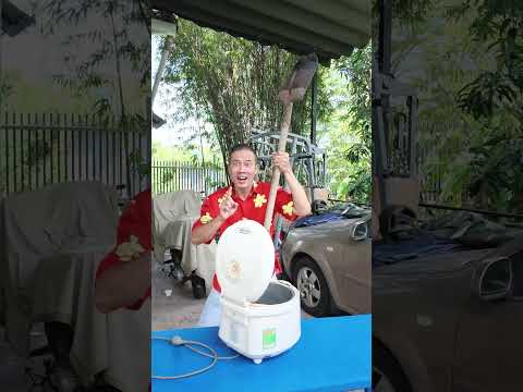 Làm Sao Để Đóng Nắp Nồi Cơm Điện Mà Không Đập Vỡ Nó #haongchu
