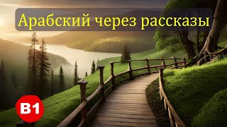 Арабский язык на слух. Рассказ с переводом для уровня В1 | Взятие права.