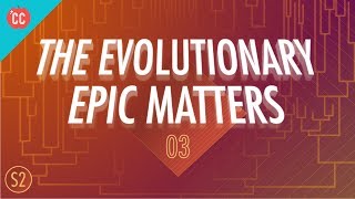 Why the Evolutionary Epic Matters: Crash Course Big History #203