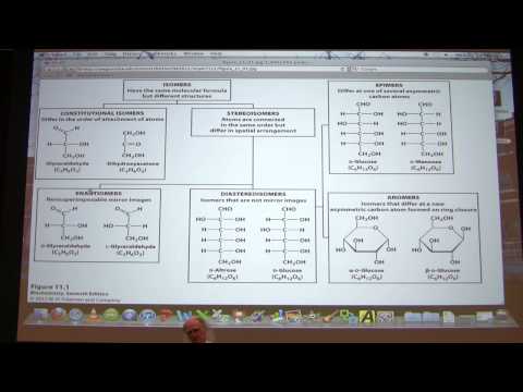#16 Biochemistry Blood Clotting/Carbohydrates I Lecture for Kevin Ahern's BB 450/550