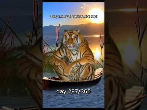 day 287/365  #dance #rave #dj #fun #edit #hardstyle