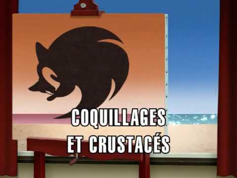 Sonic X S1 EP9 Coquillages Gt Crustacés Title Card (Français)