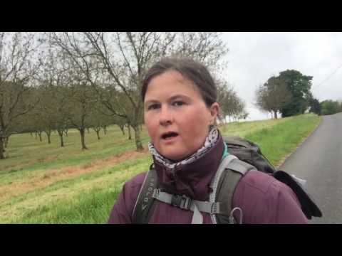 Mein Jakobsweg 2017 - Tag 19 Negrondes - Peregueux