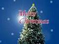 Oh Christmas Tree O Tannenbaum