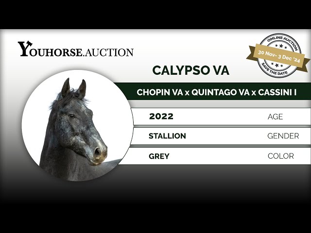 Calypso