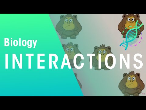 Ecology: Interspecific and Intraspecific Interactions | Ecology & Environment | Biology | FuseSchool