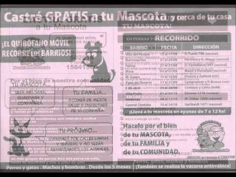 Programa No Más Perros de la Calle Rafaela