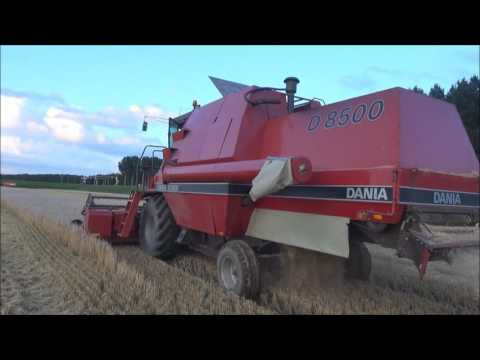 download lagu mp3 mp4 Mannenplaatjes, download lagu Mannenplaatjes gratis, unduh video klip Mannenplaatjes