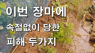 기록적인 장마에 속절없이 당한 피해(=인재) 두가지