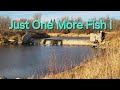Video Thumbnail for Just One More Fish!