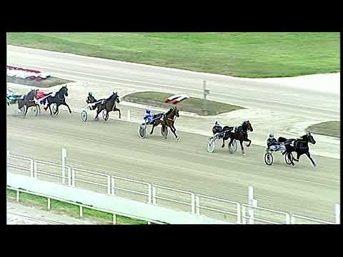 Napoli Trotto 24/12/2021 - prova di qualifica