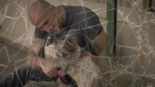 Alex Tataryan - Harabe