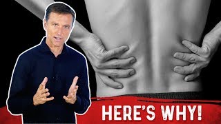 4 Causes of Kidney Pain (Low Back Pain) on Keto Diet – Dr. Berg