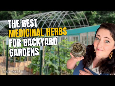Grow These Medicinal Herbs In Your Backyard Garden: Must Have Herbs for Tea Gardens