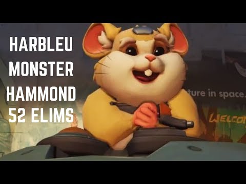 Overwatch Harbleu Is That A Hammond God Maybe?