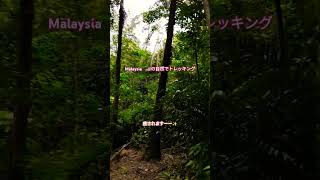 『マレーシアでトレッキング』⛰️ 自然は癒されるう。。。