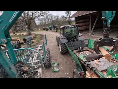 SpaltFast - Zeitraffer - astige Buchen zwischen 70-110cm