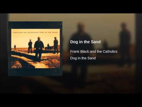 Dog in the Sand