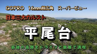 日本三大カルストの一つ平尾台を散策　　GOPRO　超広角16ｍｍで撮影