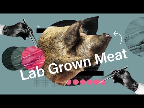 反思實驗室培植的肉類的未來 (Rethinking the future of lab-grown meat)