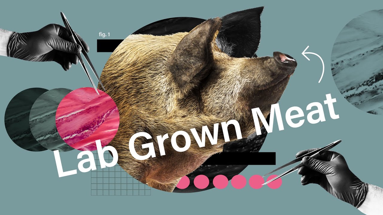 Rethinking the future of lab-grown meat