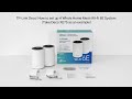 TP-Link Mesh-System Deco XE75 Home Einzeladapter