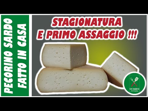 FORMAGGIO Pecorino Sardo FATTO IN CASA !!! stagionatura e primo assaggio !!!